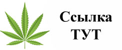 Купить наркотики в Владикавказе